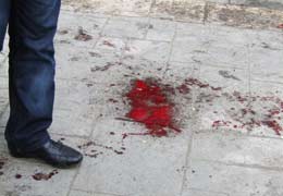 A number of Armenian NGOs urge world community to condemn Mar 1 2008 events