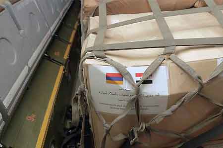 David Tonoyan found it difficult to name the dates for sending the Armenian humanitarian mission to Syria