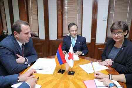 David Tonoyan and Head of ICRC delegation discussed the fate of Karen Ghazaryan captured by Azerbaijan