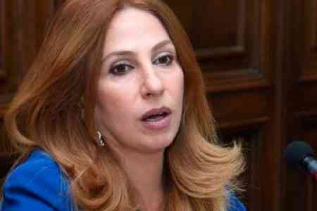 Զարուհի Փոստանջյանը պահանջեց քրեական հետաքննություն սկսել Ծառուկյանի առյուծուհու մահվան փաստով