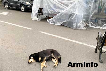Resistance Movement continues protests in Armenia`s capital