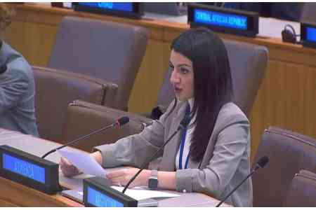 Armenia is steadfast in its commitment to promote and protect rights  of all children - statement 