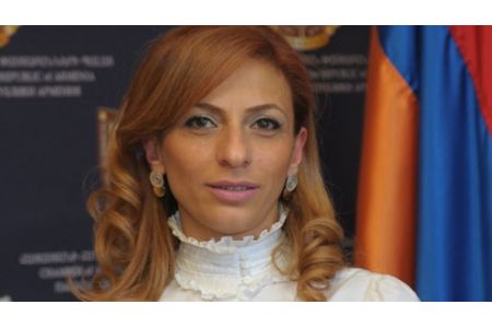 Փաստաբան․ Երևանի Սուրբ Աննա եկեղեցու բակից բերման ենթարկված երկվորյակ եղբայրները առողջական լուրջ խնդիրներ ունեն