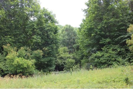 8.5-hectare forest to be established near Nubarashen Highway