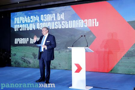 Блок "Армения" представил социально-экономический раздел своей предвыборной программы