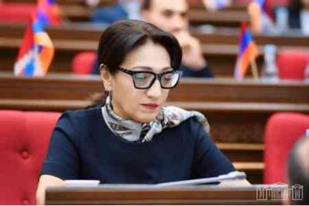 ԱԺ ընդդիմադիր պատգամավորը խորհրդարանի լիագումար նիստում բարձրացրել է կալանավորված 18-ամյա դպրոցականի հարցը